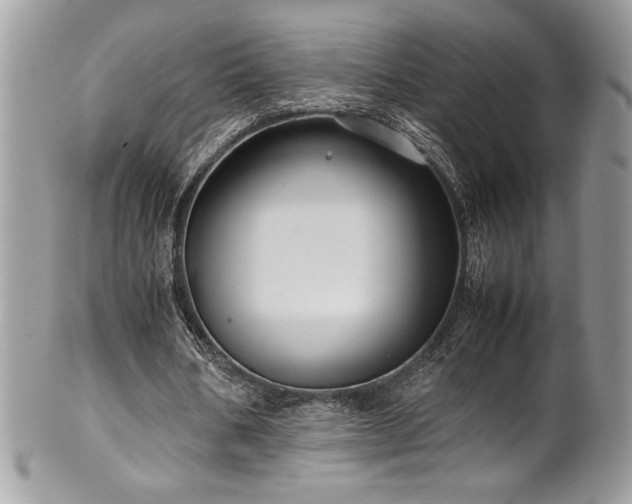 X0000102250578200807251324