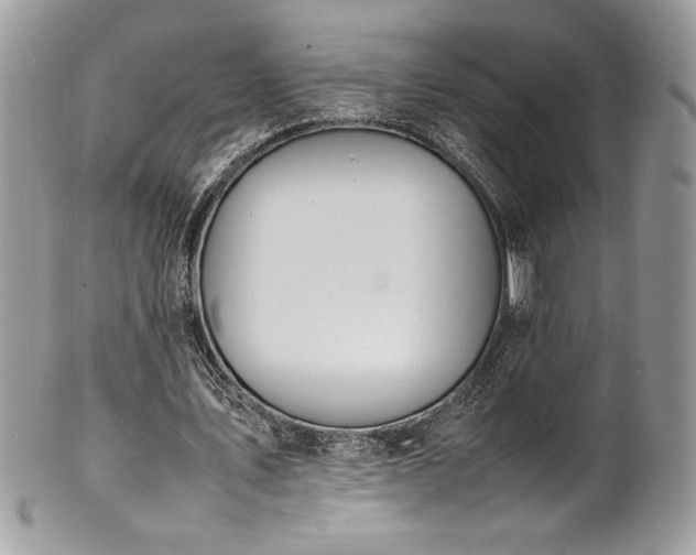 X0000102250579200807251324