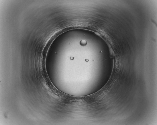 X0000102250580200807251324