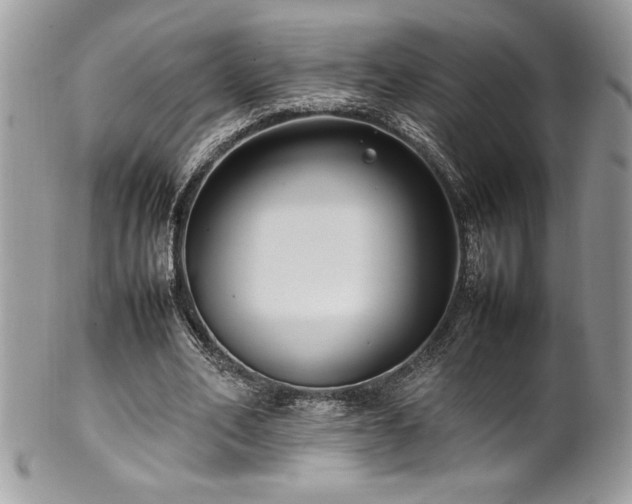 X0000102250582200807251324