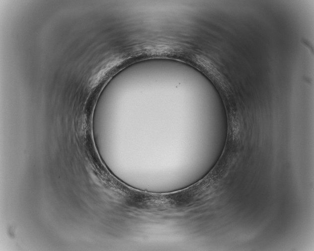 X0000102250583200807251324