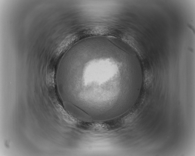 X0000102250585200807251324