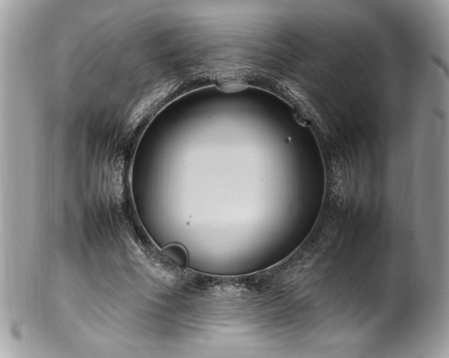 X0000102250586200807251324