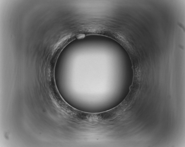 X0000102250587200807251324