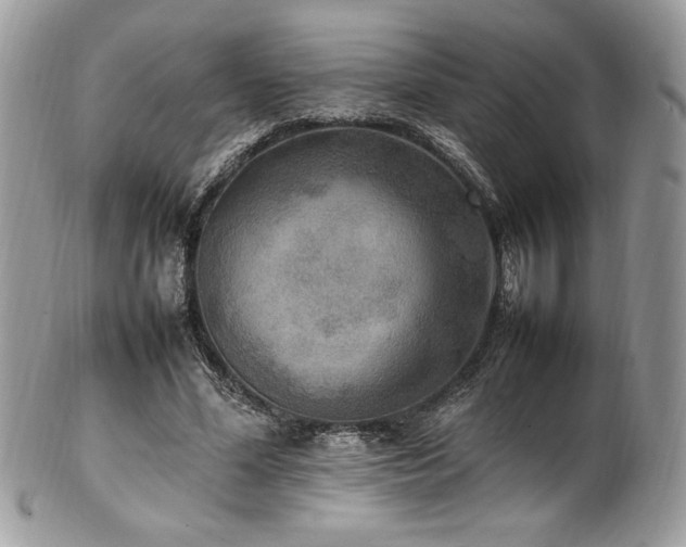 X0000102250588200807251324