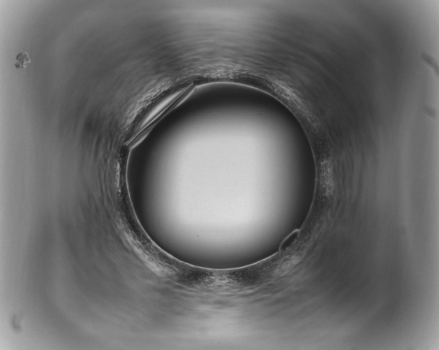 X0000102250589200807251324