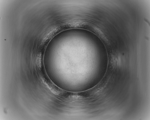 X0000102250590200807251324