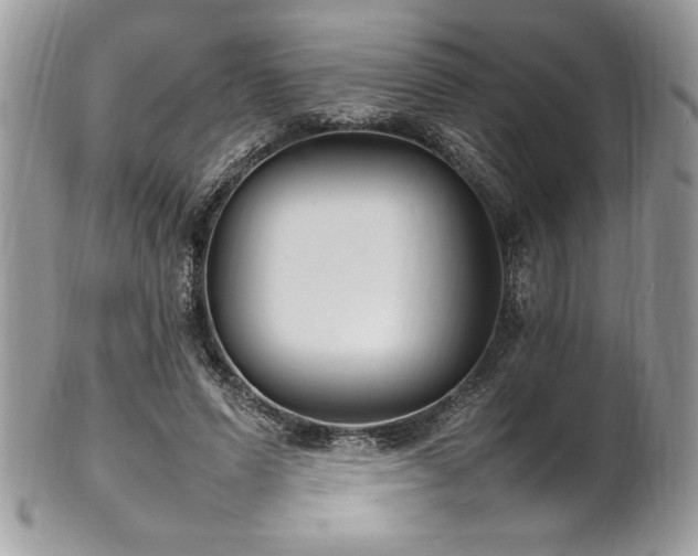 X0000102250591200807251324