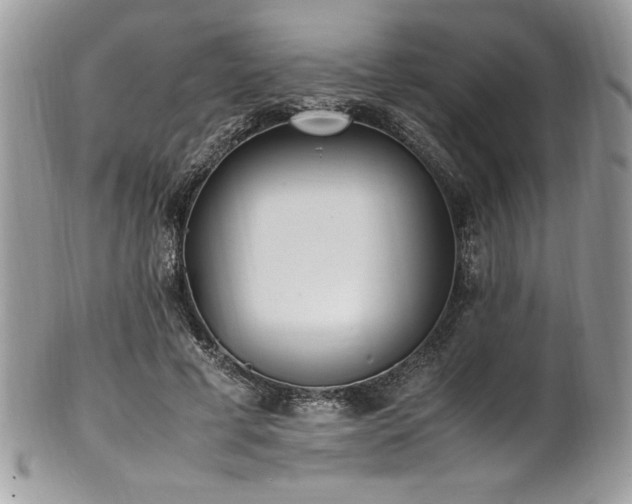 X0000102250593200807251324