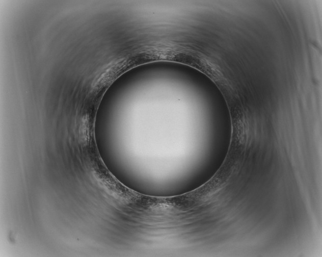 X0000102250594200807251324