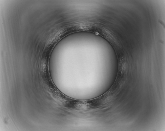 X0000102250595200807251324