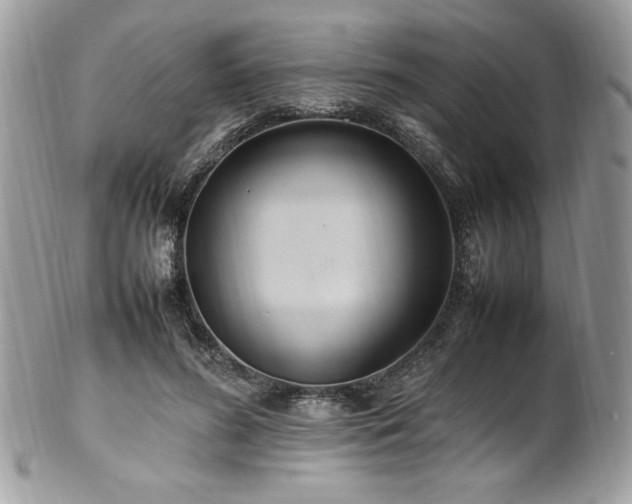 X0000102250596200807251324