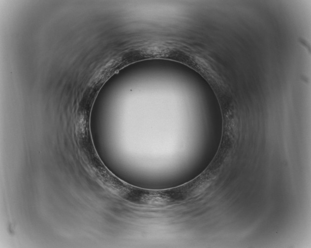 X0000102250597200807251324