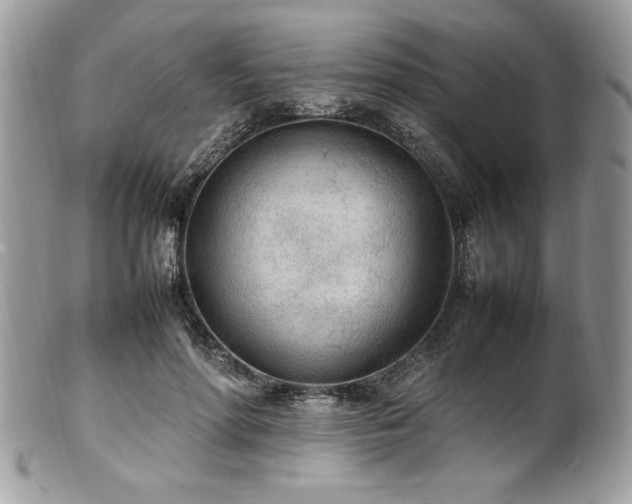 X0000102250598200807251324