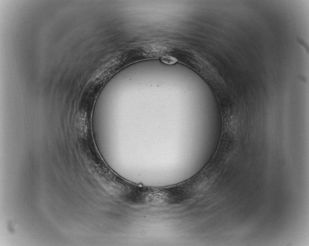 X0000102250599200807251324