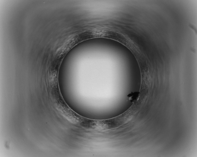 X0000102250601200807251324