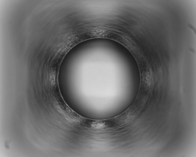 X0000102250602200807251324