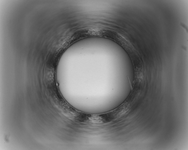X0000102250603200807251324