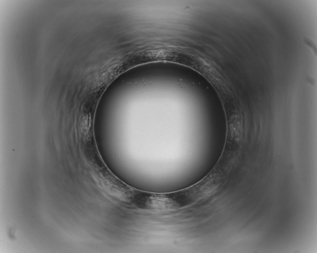 X0000102250605200807251324
