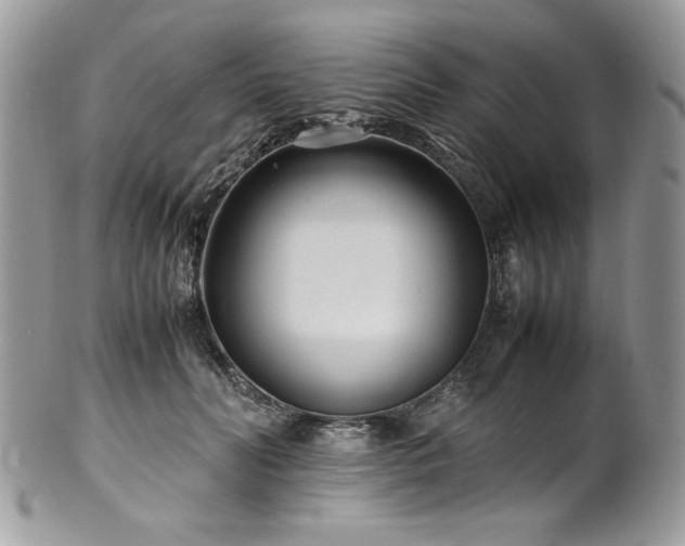 X0000102250606200807251324