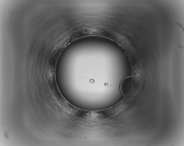 X0000102250607200807251324