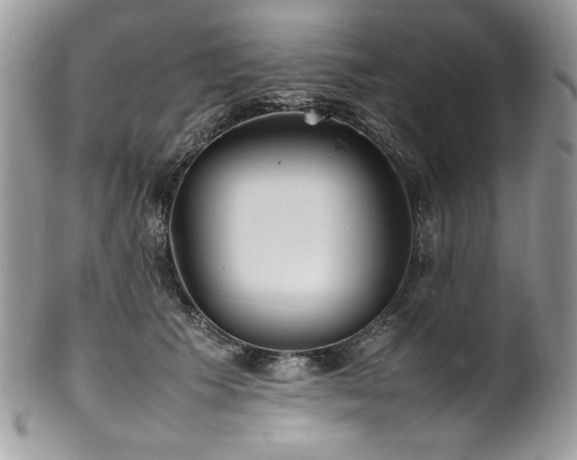 X0000102250609200807251323