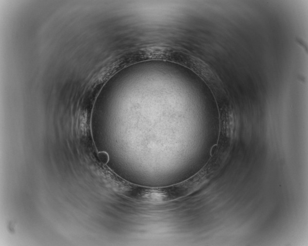 X0000102250610200807251323