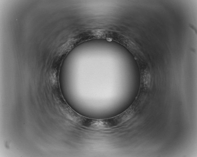 X0000102250611200807251323