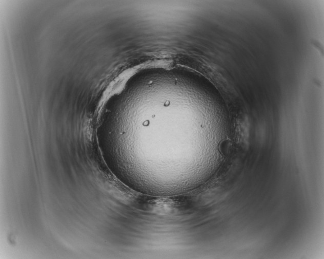 X0000102250612200807251323