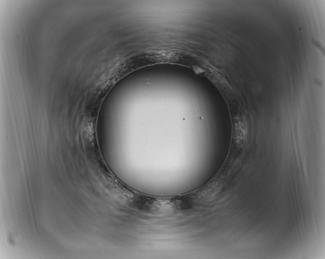 X0000102250613200807251323