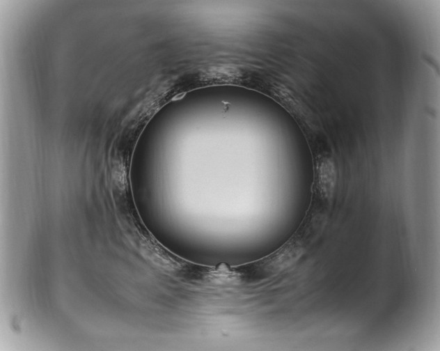 X0000102250617200807251323