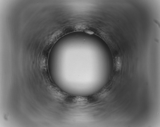 X0000102250619200807251323