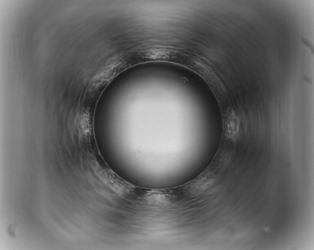 X0000102250620200807251323