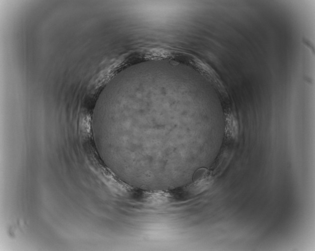 X0000102250621200807251323