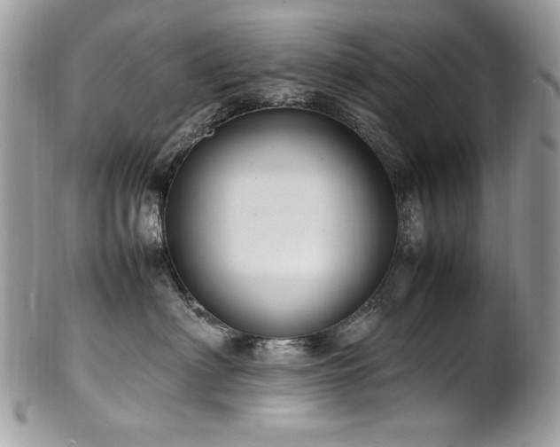 X0000102250622200807251323