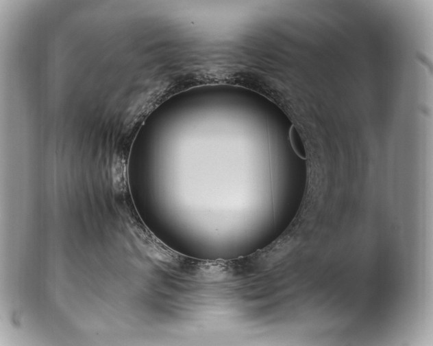 X0000102250624200807251323