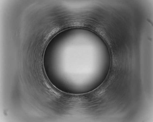 X0000102250625200807251322