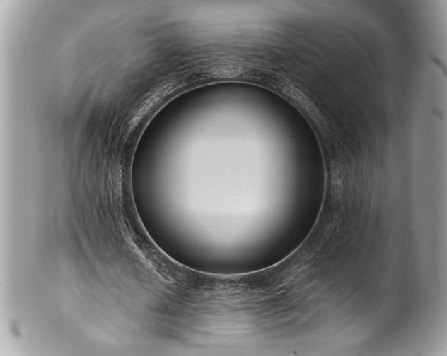 X0000102250626200807251322
