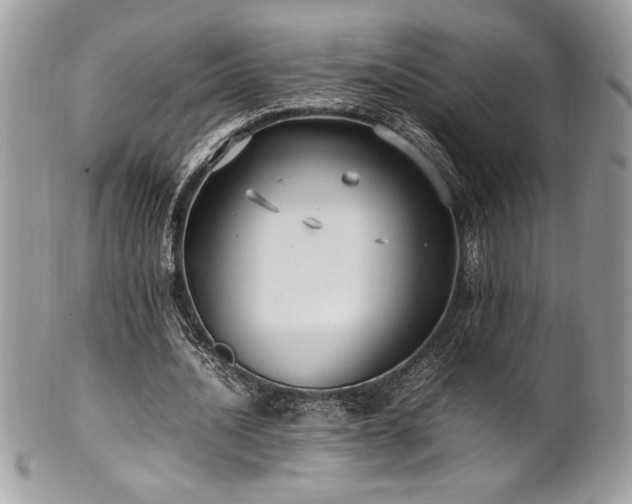 X0000102250628200807251322