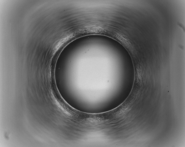 X0000102250630200807251322