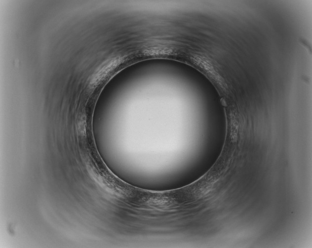 X0000102250631200807251323