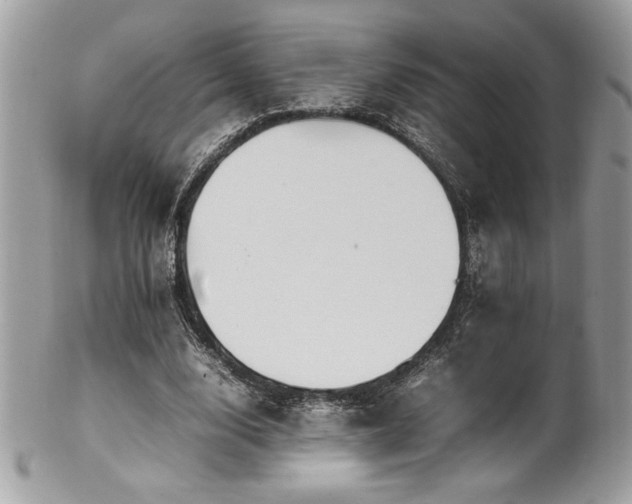 X0000102250632200807251323