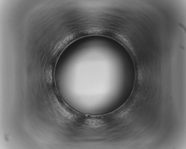 X0000102250633200807251323