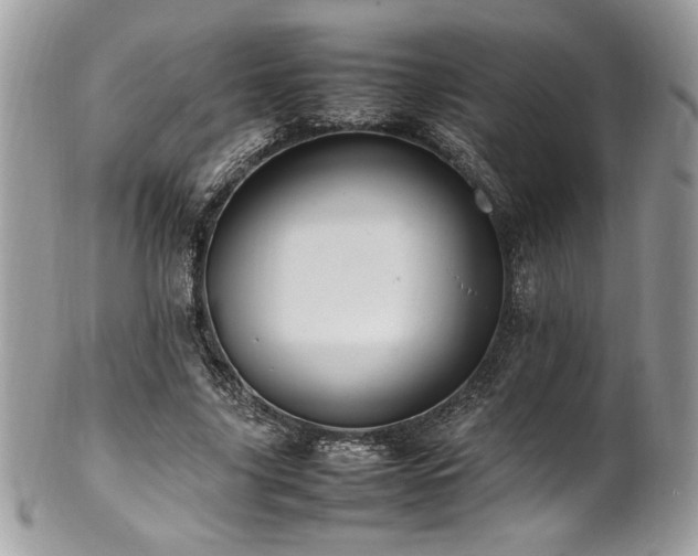 X0000102250635200807251323