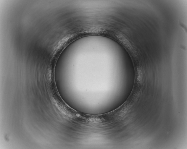 X0000102250636200807251323