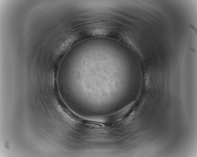 X0000102250637200807251323
