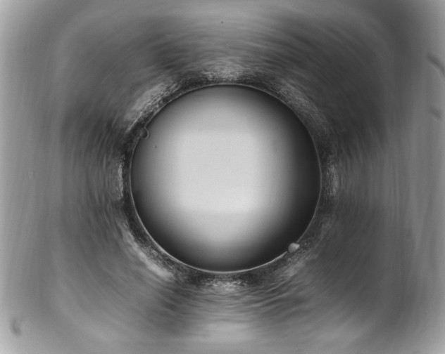 X0000102250638200807251323