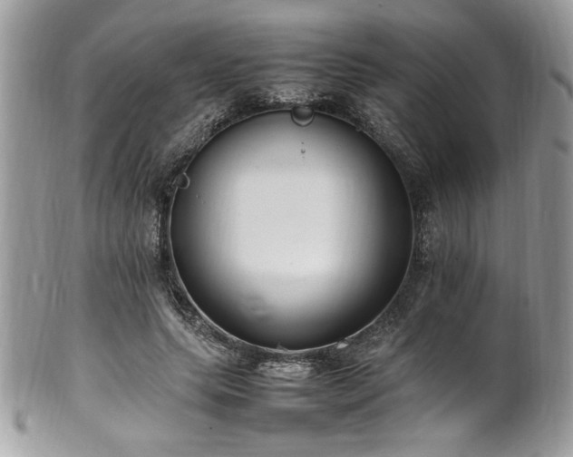 X0000102250639200807251323