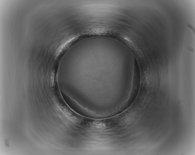 X0000102250640200807251323