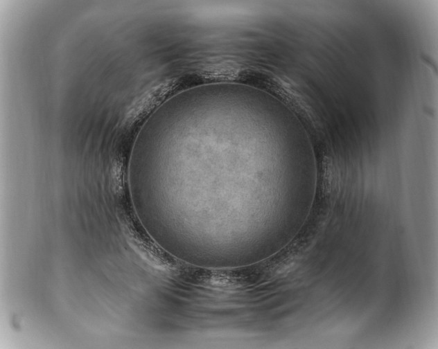 X0000102250641200807251323